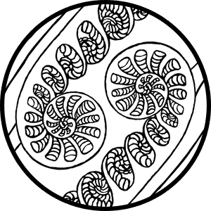 Amau Icon on Transparent Background