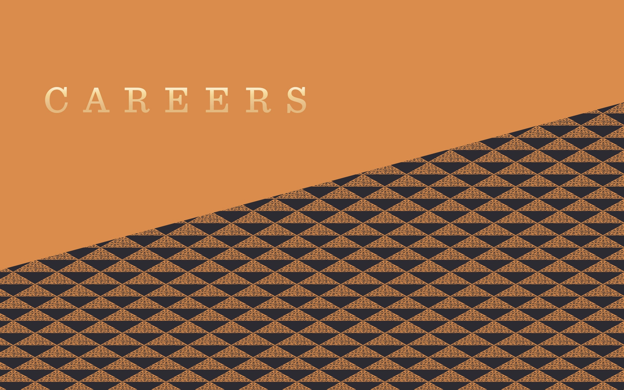 Careers Orange Banner