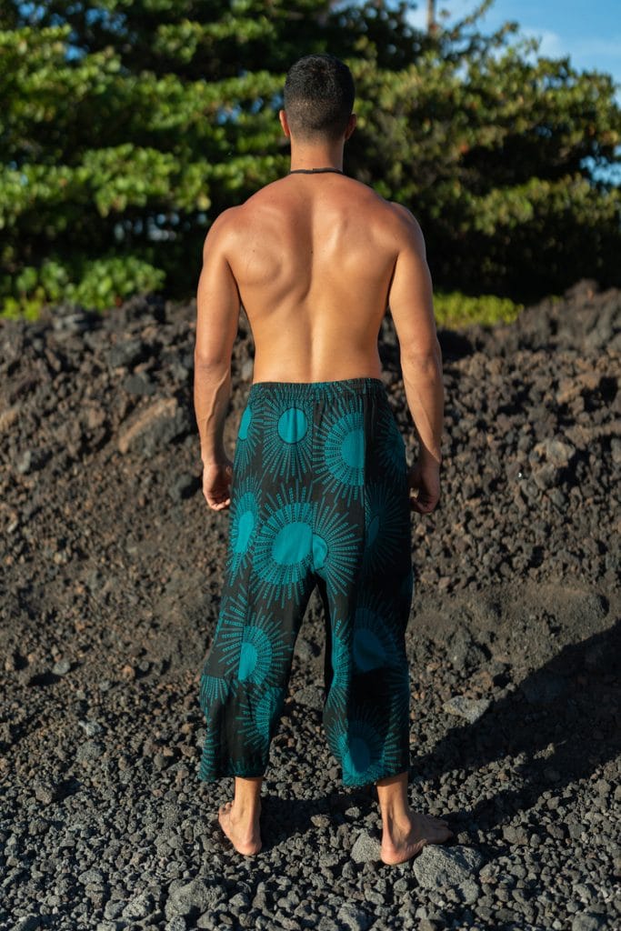 Male model wearing Waiola Pant in in Dragonfly/Black Color and Kanehoalani Pattern - Back View