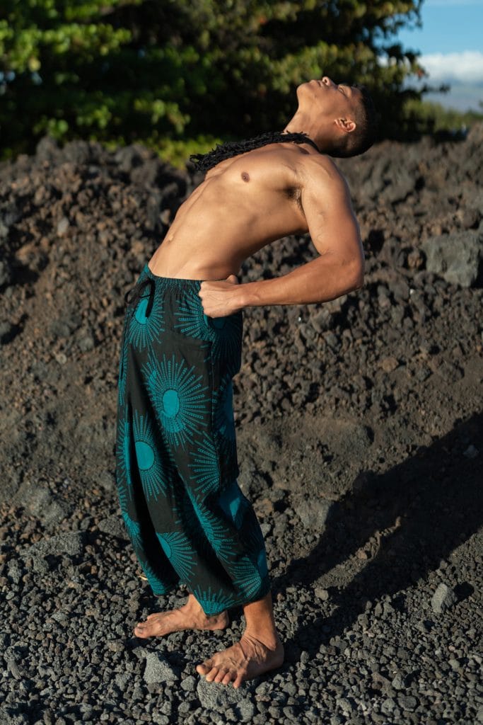 Male model wearing Waiola Pant in in Dragonfly/Black Color and Kanehoalani Pattern - Side View